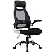 OWLN Office Ergonomic High Back Mesh Chair with Adjustable Headrest and Armrest