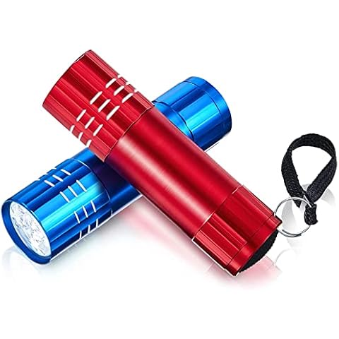 2 Pcs Mini Pocket Torch Small Handheld Torches Kids Led Flashlight 3 Inch Waterproof Pencil Torch with Lanyards for Camping Hiking Outdoor, Batteries with Insulation Card Included (Blue, Red) Cover