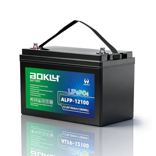 Aokly 12V 100Ah LiFePO4 Battery BCI Group 31 with BMS