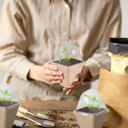Vasos de turfa para mudas, Vasos de turfa para vasos de flores, Vasos de berçário ecológicos, kit de