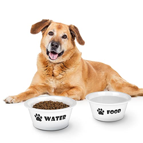 FOREYY Set of 2 Ceramic Dog Cat Bowl Set, Pet Porcelain Food and Water Feeder Dish Bowls with Anti Slip Band, Dishwasher and Microwave Safe (Medium)