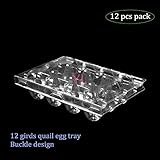 [12 Pack] Quail Eggs Storage Box Organizer Holder,12 girds Holder for a dozen Quail Eggs,Clear Plastic Premium Eco-Friendly Quail Eggs Tray for Family Pasture Farm Business Market Food Factory