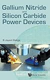 Gallium Nitride and Silicon Carbide Power Devices