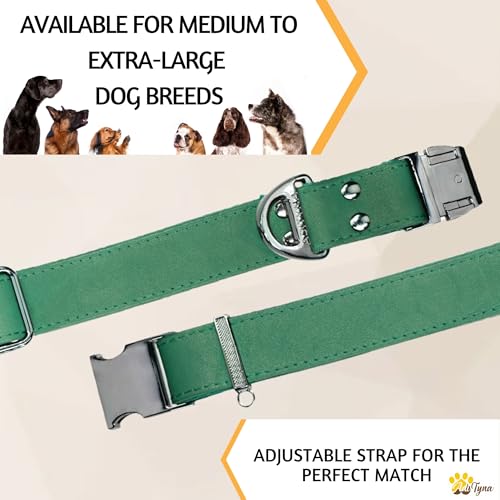 Image of ADITYNA Leather Dog Collar for Large & Extra Large Dogs, Adjustable 19-30 inch | Padded, heavy-duty metal buckle. Great for walking, training - ideal for Rottweiler, German Shepherd, Golden Retriever.