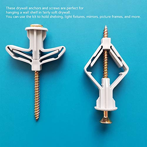 image for Runningfish Hollow Wall Anchors with Screws Flat Washers, Drywall Ribb