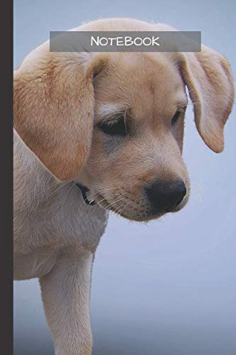 Labrador Notebook: Labrador notebook blank pages - Journal to write in - 120 pages - 6"x9", White