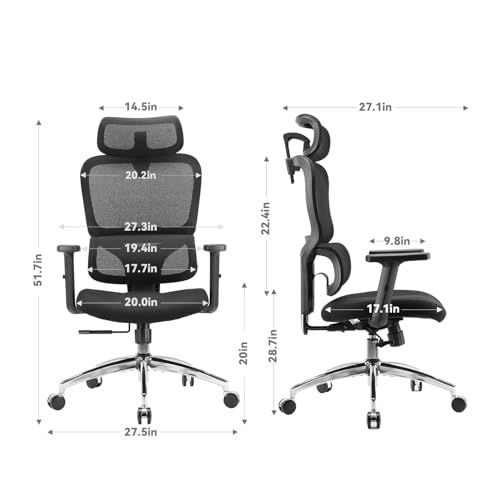 Image of SIHOO M56C Ergonomic Office Chair, Desk Chair with Armrests, Computer Chair with Dual Back Design and Adaptive Dynamic Lumbar Support, 2 Packs, Dark Black