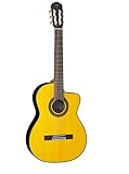 Takamine