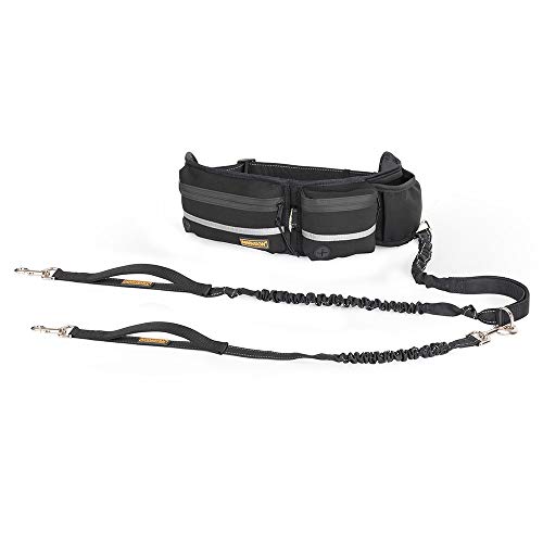 running dog leash hands free