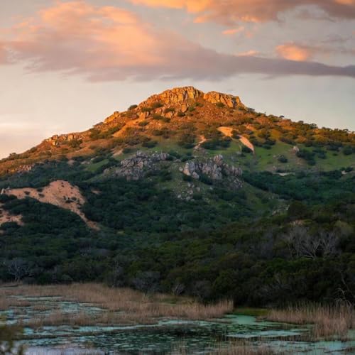 Echos aus dem Sumpf: Rom vor dem Marmor