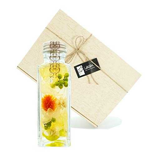 LAGOM n[oE yJUNzƏj ̓Mtg  2024 蕨 LO av[g vU[uht[  t[Mtg (CG[)