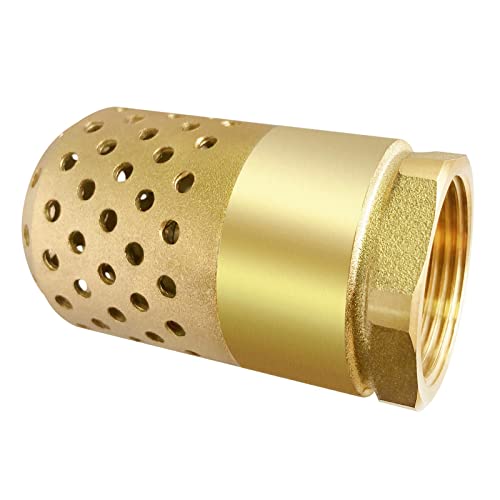 Brass Foot Valve, 2 inch NPT Spring Mesh Check Valve Female Connection One Way Foot Valve