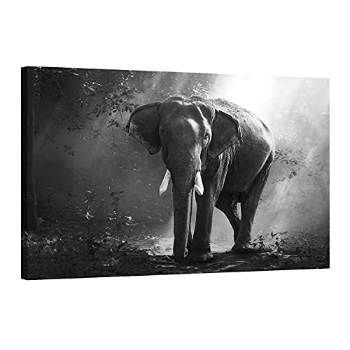 Arjazia Tableau Déco Éléphant - Décoration Murale Cover