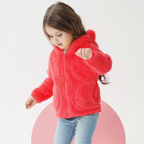 AIWUHE Toddler Boys Girls Hooded Fleece Jacket Cute Bear Hoodie Zip Up Teddy Coat Sherpa Winter Warm Outwear With Pocket 1-6Y3
