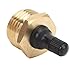Tbest RV Blow Out Plug Brass Winterize Adapter Fitting for Motorhome Travel Trailer Water Hose Durable Rustproof Easy to Install Essential Tool Winterization Dewinterization