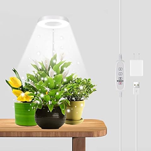 GYTF Halo Plant Grow Light, 6000K White LED Full Spectrum Growing Lamp for Indoor Plants, Succulents, Mini Bonsai, Small Plants, Height Adjustable, Dimmable & Timer 4/8/12/18Hrs Cover
