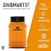 GEARWRENCH Professional Bi-Directional Diagnostic Scan Tool | GWSMARTBT