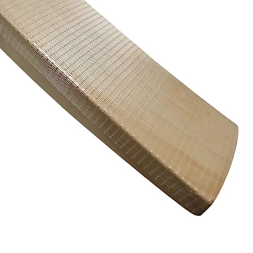 Image of Sug Cricket Bat Toe Guard Set (5 Pcs) with 1 F-Bond, 4 Pcs Scuff Sheet & 4 Pcs Sand Paper for Full-Size Cricket Bat Protection - Durable, Reliable, Essential Accessories for Bat Maintenance