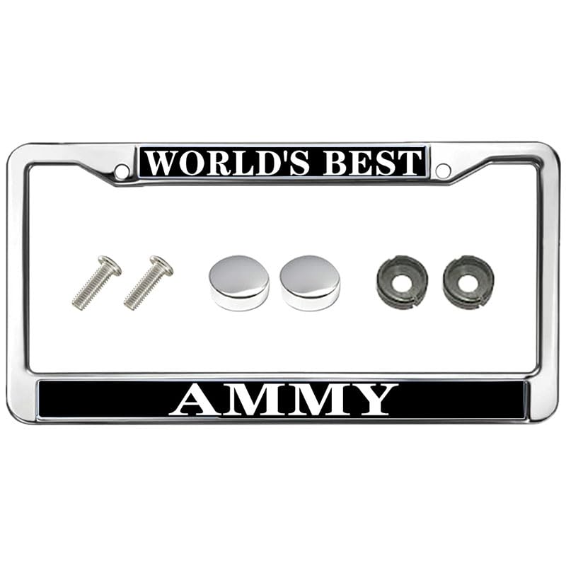 World's Best Ammy Universal US CA Car License Plate Frame Woman's Day Gift Stainless Steel Car Licence Plate Covers Woman's Day Gift Car Accessories License Plate Frame Cute, ASIFCSKU071