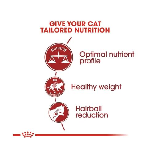 Image of Royal Canin Fit 32 Regular for Adult Cats, 400 Grams, Dry Food, Supports Optimal Nutrient Profile and Healthy Weight