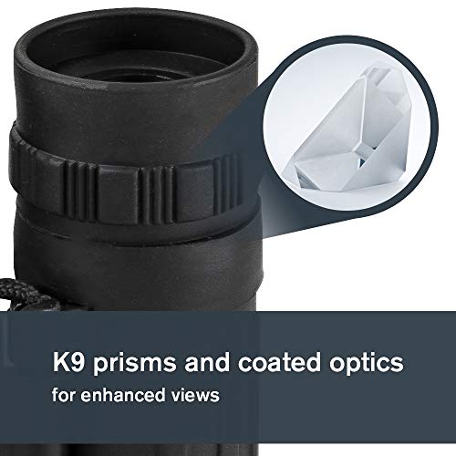 Celestron 72354 LandScout 16x32mm Water-Resistant Roof Prism Binoculars with Rubber Grip Surface, Coated Lens, K9 Optical Glass, Neck Strap and Soft Carry Case, Black