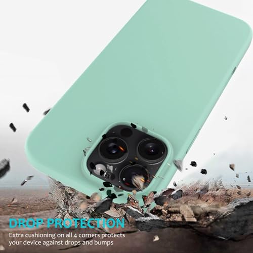 Image of ArmourPro Silicone Back Case for iPhone 16 Pro Max, Soft-Touch Case | GreenishCyan