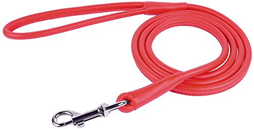 Collardirect Rolled Leather Dog Leash 4Ft, Soft Padded Training Leather Dog Lead 6Ft, Puppy Leash Rolled Leather Small Medium Large Black Blue Red Orange Green Pink White (Pink, Size S 6Ft) #TOP6