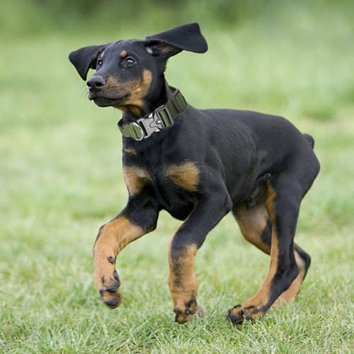 Ledeak Taktisches Hundehalsband mit Griff, Verstellbares Anti Zieh Breites Hunde Halsband Gepolstert, Dog Collar mit Metallschnalle erziehungshalsband für Hunde (Armeegrün, XL)