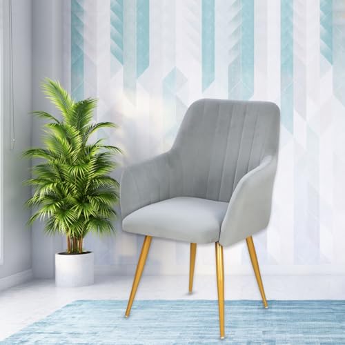Image of Taboo Velvet Dining Chair Set of 4 | Upholstered Accent Arm Chairs | Soft Cushioned Seat with Backrest | Modern Velvet Fabric Chairs with Metal Legs | Living Room, Bedroom, Cafe & Restaurant | Cloud
