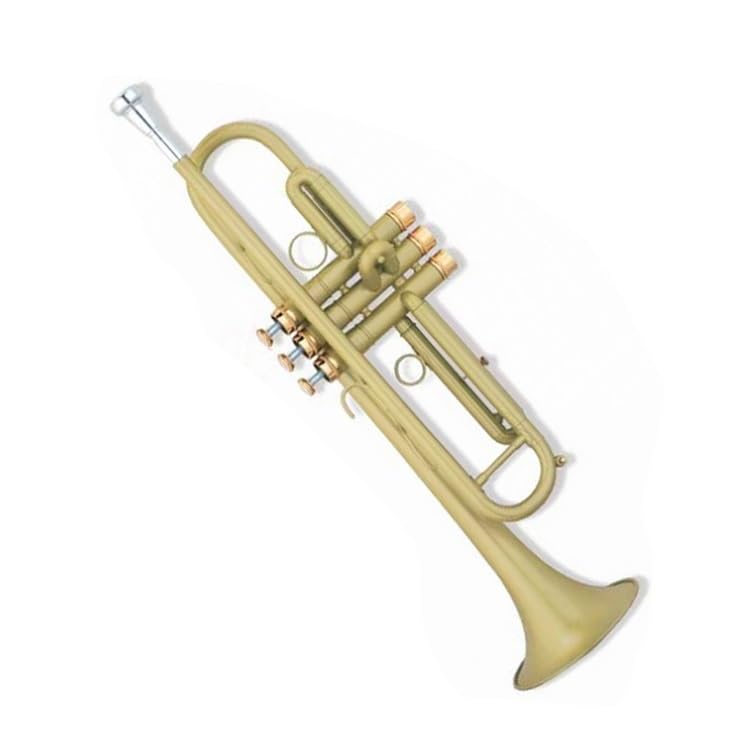 trąbka instrument Trąbka hiszpańska lakierowana w kolorze złotym w tonacji B z mosiężnym instrumentem dętym o płaskich ustach