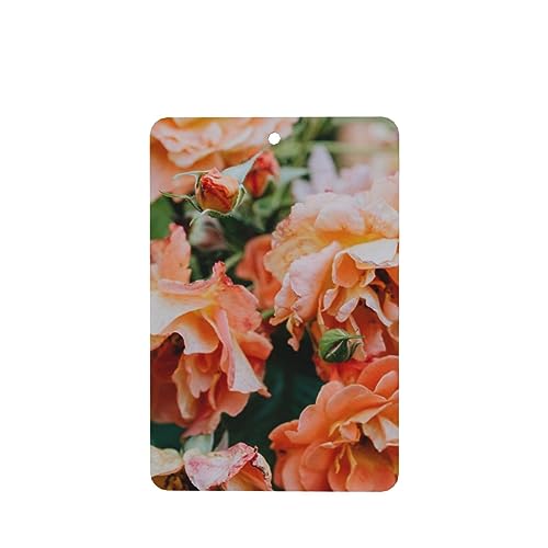 ỏ ԗpF p[\iCYꂽXCX J[A}Zs[^ubg ݂艺F܃J[h [vt 4 ԂƂ̑p