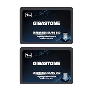 Gigastone Enterprise SSD 1TB NAS SSD Drive Cache (2-Pack) 24/7 Durable TLC High Endurance Business Server Data Center RAID Network Attached Storage 2.5″ SATA Internal Solid State Hard Drives