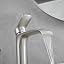 Brushed Nickel