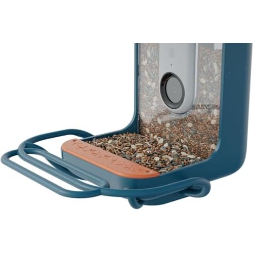 Bird Buddy Blue Perch Extender – Add-On Accessory for Better Bird Watching Experience – Outdoor Bird Perch for Feeding Multiple Birds – Weatherproof and Durable for Large Bird Species