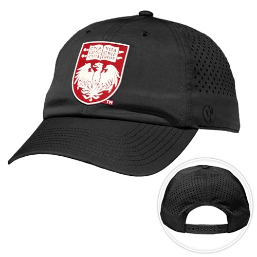 Desert Cactus UChicago Snapback Hat miniatura 1