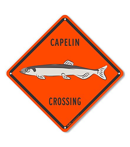 Panneau aluminium Capelan Crossing orange抗 UV Plaque métallique 25cm