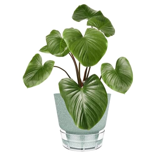 Pots de plante d'auto-arrosage 6 pouces pour éviter l'excès d'eau - 4