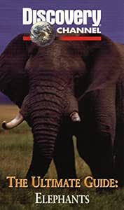 The Discovery Channel: The Ultimate Guide - Elephants [VHS] : Will ...
