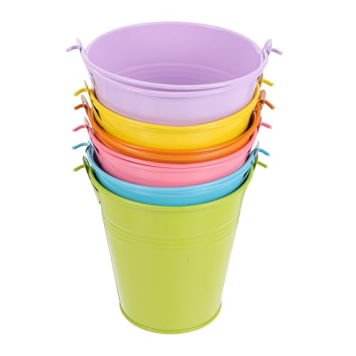 Sewroro Mini Seaux Métalliques 6 Pièces 10Cm Poignées Couleurs Variées pour Plantes Succulentes et Rangement Bureau Maison Mariage