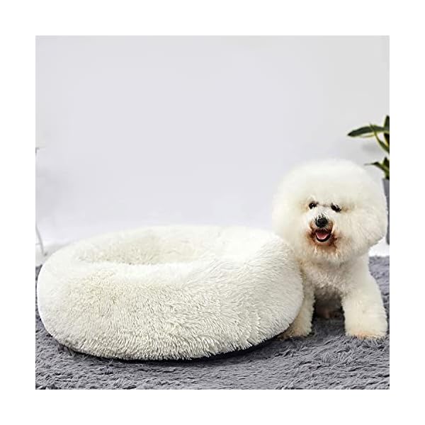 HACHIKITTY Dog Beds Calming Donut Cuddler, Puppy Dog Beds Large Dogs, Indoor Dog Calming Beds – Bild 7