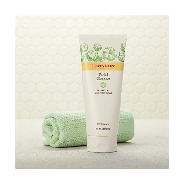 Burts-Bees-Face-Cleanser-for-Sensitive-Skin-6-Oz-Package-May-Vary Burt's Bees Facial Cleanser for Sensitive Skin with Aloe, 98.9% Natural Origin Skin Care, Stocking Stuffers & Skin Care Christmas Gifts (6 oz)