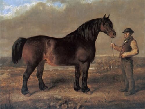 IPLUPJDY Vintage Lienzo Pintura Lienzo Impresión Pintura Impresión Imagen Premio Clydesdale Yegua por Gourlay Steell para la Decoración del Hogar del Dormitorio 60x90cm