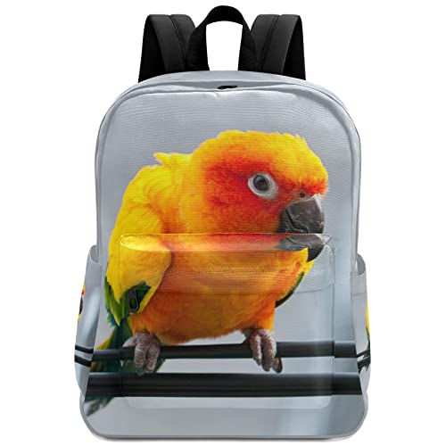 Fustylead Mochila infantil personalizada, mochila escolar durável para meninos e meninas, Papagaio, Mochilas Daypack