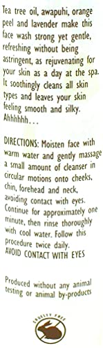 Trader Joe's Spa Face Wash with Tea Tree Oil (2 Packs) image 5