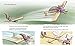Newton and Curie Take Flight!: A Picture Book
