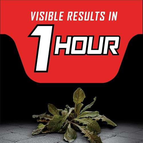 Image of Ortho GroundClear Year Long Vegetation Killer2 Concentrate - Weed Killer Concentrate, Kills and Prevents Weeds Up to 1 Year, 1 gal. (Pack of 4)