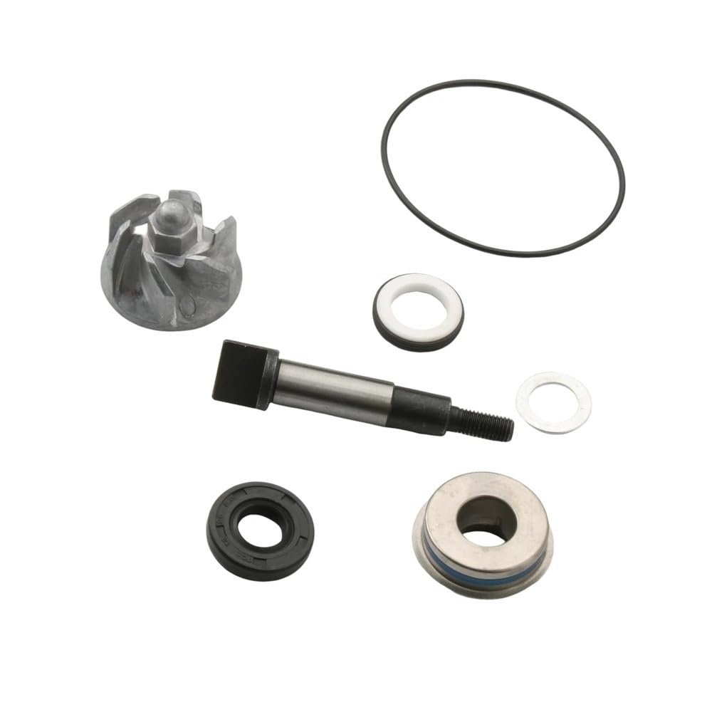 Pompe à Eau SH300 Forza300 NSS300 pour Honda