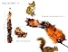 YOOGAO Pet Cat Toys Wand Retractable Interactive Feather Teaser Cat Toy with Bell, 5pcs Refills