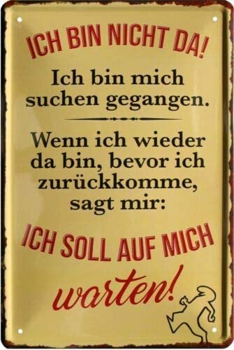 Retro Blechschild 'Es Muss Nicht Immer Alles Sinn Machen' – 20x30 Cm, Vintage-Design, Witziger Spruch
