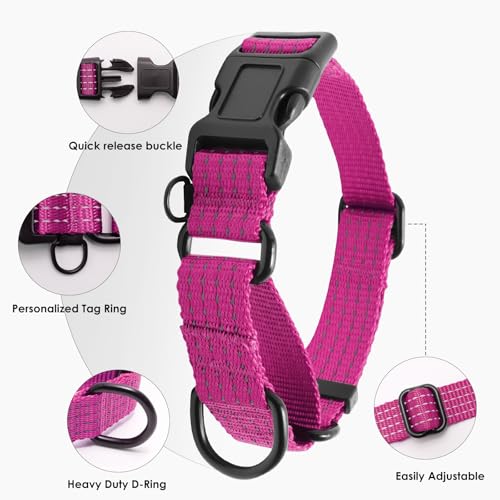 Image of Martingale Dog Collar, Reflective No Pull with Buckle, Hot Pink, S | Escape Proof without choking ,Training Collar with Quick Release Buckle, Adjustable Heavy Duty Nylon collars for S M L Dogs
